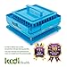 Kodi Health Capsule Filler - Capsule Filling Machine 100 Holes, 00 Empty Capsules Filler, Make Your Own Supplements Capsule Easily at Home