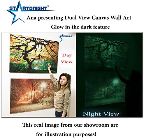Startonight Luxury Framed Art Silver Gustav Klimt Beach Grove 1902 Reproduction Dual View Surprise 19.69 Inch By 27.56 Inch Famous Collection Wall Art