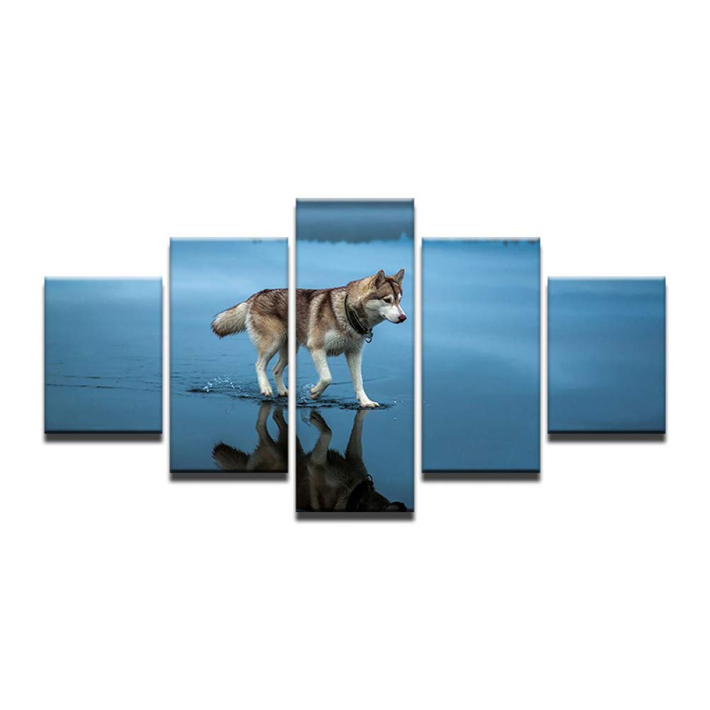 Best Home Decor Photos Huskey