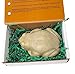 WATERFALL GLEN SOAP COMPANY - Nathan frog soap, honeysuckle natural, vegan frog bath soap with shea butter