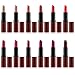 SHANY Lipstick Set of 12 Long-lasting and Moisturizing Creamy Colors with Various Finishes - Cool Kisses