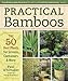 Practical Bamboos: The 50 Best Plants for Screens, Containers and More primary