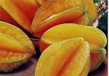 20+ Tropical Seeds AVERRHOA carambola Star Fruit Tree Heirloom Organic Seeds