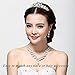 Miraculous Garden Luxury Silver Plated Rhinestone Faux Pearl Necklace Earrings Jewelry Sets for Wedding Bridal Party