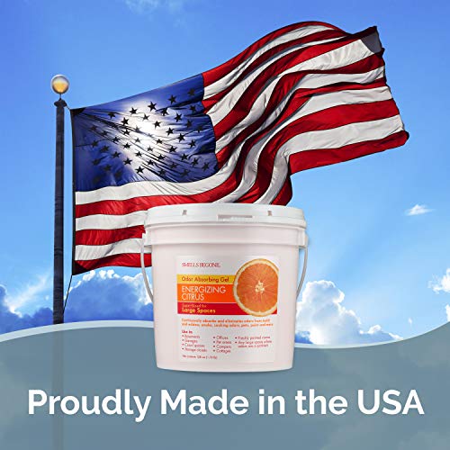 3 Smells+Begone+Odor+Absorber+Solid