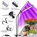 Grow Light for Indoor Plants 50W 96 LED Full Spectrum Plant Lights, Auto On/Off 3/6/12H Timer 5 Dimmable Levels 3 Switch Modes Dual Head Desk Growing Lamp for Gardening Seedling Succulent Hydroponic