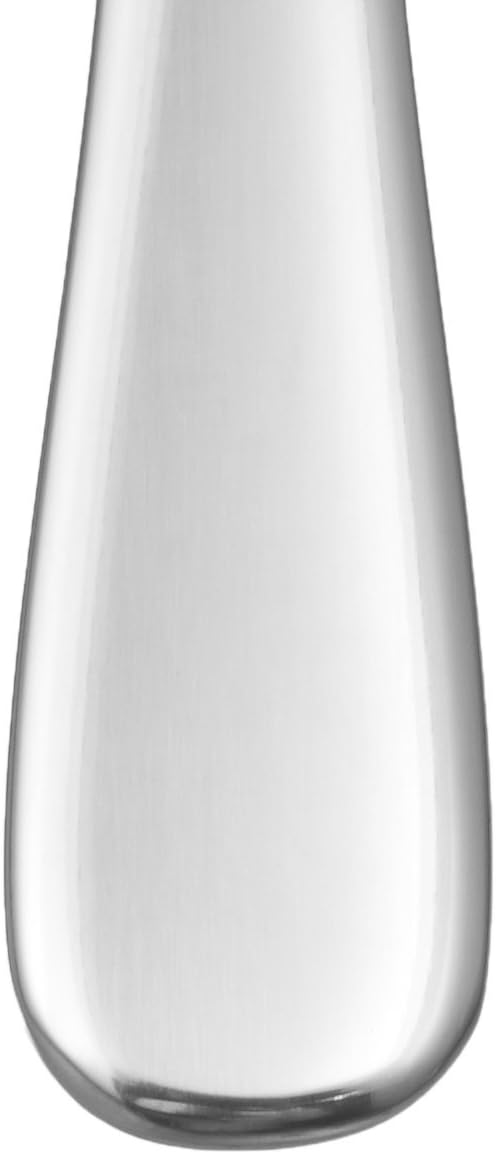  Basics Stainless Steel Dinner Knives with Round Edge, Pack of 12: Kitchen & Dining