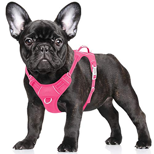 barkbay dog harness