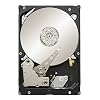 Seagate ST32000644NS 2TB 7200RPM SATA II 3 GB/s 64 MB Cache 3.5in Enterprise Hard Drive (PC, RAID, NAS, CCTV DVR…