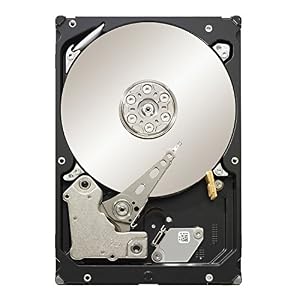 Seagate ST32000644NS 2TB 7200RPM SATA II 3 GB/s 64 MB Cache 3.5in Enterprise Hard Drive (PC, RAID, NAS, CCTV DVR…