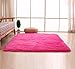 Bnxbb Ultra Soft 4Cm Thick Indoor Fluffy Thick Indoor Area Rug for Home Decor Living Room Bedroom Kitchen Dormitory Rectangle,Size:24 x 47 Inch (60Cm X 120Cm) Hot Pink