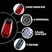 LED Safety Light Clip on Strobe Running Light for Runners Kids Dogs Cycling Walking and Jogging Accessories, Best Flashing Reflective Gear Dog Collar LED Lights, Free Bonuses (3 Pack)
