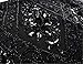 PrettyGuide Women's Flapper Dress Bead Sequin Fringed Gatsby Dress with Sleeve M Black