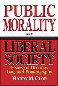 Pornography revised essay image