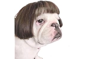 TESSVEYA Funny Dog Cat Cosplay Wig, Headwear Apparel Toy,Pet Costumes, Cat Dress up for Halloween, Christmas, Parties, Festiv