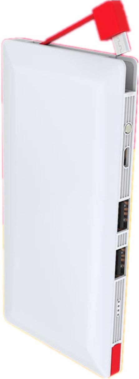 WINMI 10000mAh Power Bank Super Slim Fast Charging Portable Battery with Built-in Micro USB Cable External Battery Charger Pack for iPhone, iPad, Android Smart Phones, Tablets and More (White)