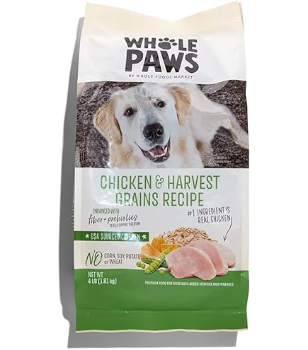 best slow feed stainless steel dog bowl Stainless Steel Slow Feed Replacement Bowls for Neater Feeder – Neater Pets