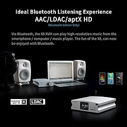 aune X8 18th Anniversary Edition-BT DAC/Hi-Res