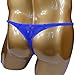 Mens Sheer Thongs G-strings Bulge Pouch C-thru T-back Underwear (S/M fit waist 27''-33'', Blue)