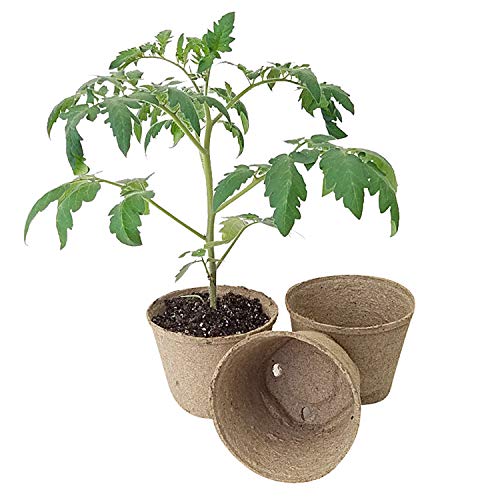 Jiffy 5" Round Peat Pots - OMRI Listed Organic - 100ct