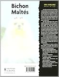 Image de Bichon Maltés / Maltese (Excellence: Razas de hoy / Excellence: Today's Breeds) (Spanish Edition)