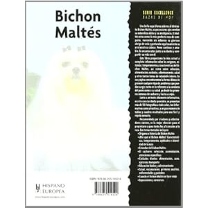 Bichon Maltés / Maltese (Excellence: Razas de hoy / Excellence: Today's Breeds) (Spanish Edition)