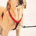 SPORN Ultimate Control No Pull Dog Harness for Large Dogs - 4-in-1 Adjustable L/XL Dog Harness with Front, Back & Dual-Clip Options & Emergency Grab Handle - Easy On/Off, Padded Comfort (Red, L/XL)