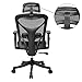 ANCHEER Ergonomic Office Chair, High Back Mesh Office Chair with Adjustable Lumbar Support,Armrest and Headrest ( BIMFA Certified )