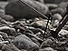 Snow Peak’s Solid Stake #20, R-102, Forged Steel, for Camping Tents, Made in Japan, Lifetime Product Guarantee