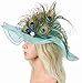 Zivyes 1920s Headpiece Peacock Feather Fascinator Flapper Hair Clip Roaring 20s Accessories for Women