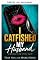 Livro Catfishei meu marido (Série Pego no ato, Livro 1)