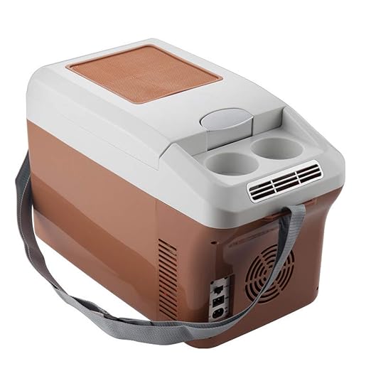 Kühlbox Nevera Coche Mini Nevera eléctrica enfría y calienta ...