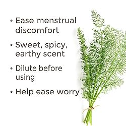 Plant Therapy Sweet Fennel Essential Oil 10 mL