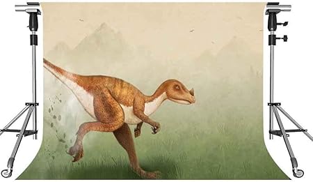 Amazon Hd恐竜の背景ジュラ紀時代の写真の背景 7x5ftをテーマにしたパーティーの写真ブースyoutubeの背景lfmt233 バックペーパー 背景布 通販