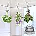 Pro Chef Kitchen Tools Laundry Clothespins Set of 24 Stainless Steel
