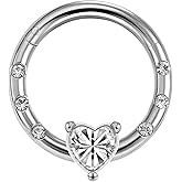 LunaLoop Hoop Nose Rings for Women Septum Nose Rings Gold Silver 16g Nose Piercings Jewelry 316L Surgical Steel Conch Rook Helix Piercing Jewelry CZ Cartilage Hoop Earring