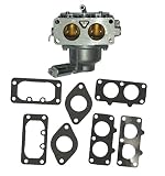 Auto Express 791230 Carburetor Carb for Briggs & Stratton V-Twin 20-25hp Models 699709 49980