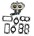 791230 Carburetor Carb for Briggs & Stratton V-Twin 20-25hp Models 699709 49980