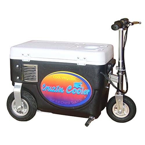 cool weird random gifts on amazon related to Sports & Outdoors most trending items that are Coolers, Above $200, cool items