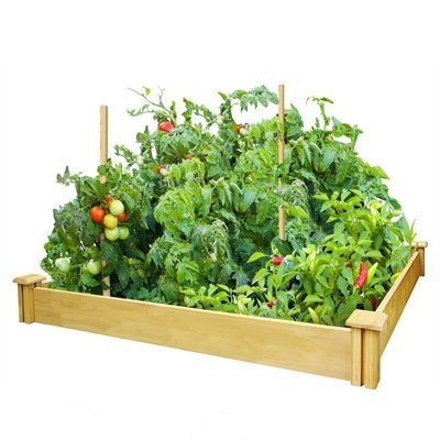 Greenes Fence CO RCMG4S4B 4x4x5.5 GDN Raised Garden kit