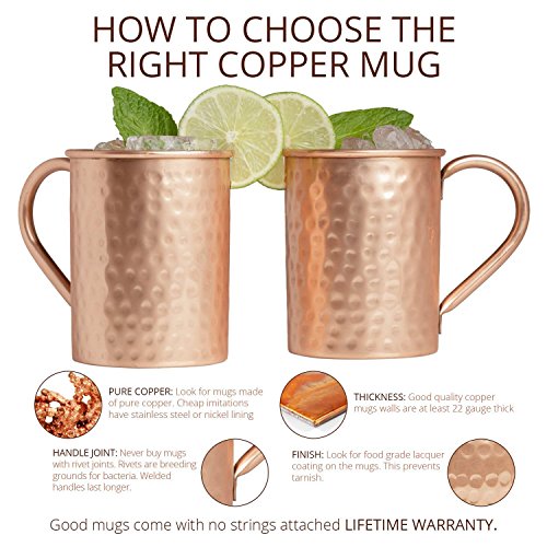 FeverTree Naturally Light Ginger Beer, 6.8Ounce (24 bottles) with