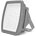OSTEK 100W LED Flood Light Explosion-Proof led Light 5000K, Hazardous Location Flood Lights IP66 Waterproof Industrial Powder Factory, Gas Station Airport Flood Light 100-277V