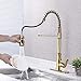 KES cUPC NSF Certified BRASS Singel Handle Pull Down Kitchen Faucet with Retractable Pull Out Wand, High Arc Swivel Spout, Titanium Gold, L6936BLF-PG