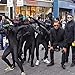 Original Morphsuit Fancy Dress Costume ,Black, X-Large