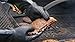 Artisan Griller BBQ/Smoker/Grilling Gloves. Insulated Heat Resistance for Fryer and Kitchen. Oil/water resistant (17