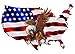 Nostalgia Decals Super Store USA As a Flag with Eagle Decal 6