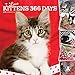 I Love Kittens 365 Days 2020 12 x 12 Inch Monthly Square Wall Calendar with Foil Stamped Cover, Anim by 