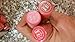 NYC New York Color Applelicious Glossy Lip Balm ~ Garnet Gala 358