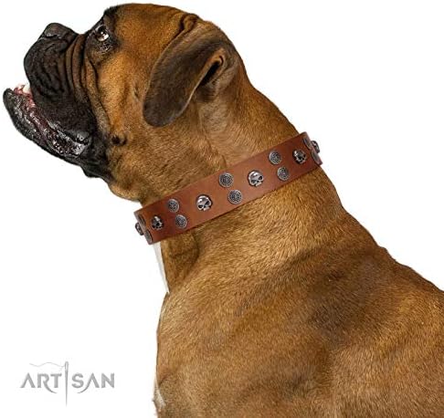 FDT Artisan Tan Leather Dog Collar with Old Silver-Like Skulls and Medallions - Road Rider - 1 1/2 inch (40 mm) Wide - Gift Box Included