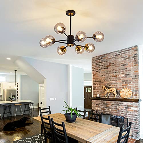 SZXYKEJI 8 Light Chandelier Pendant Lighting Black with Glass Globes